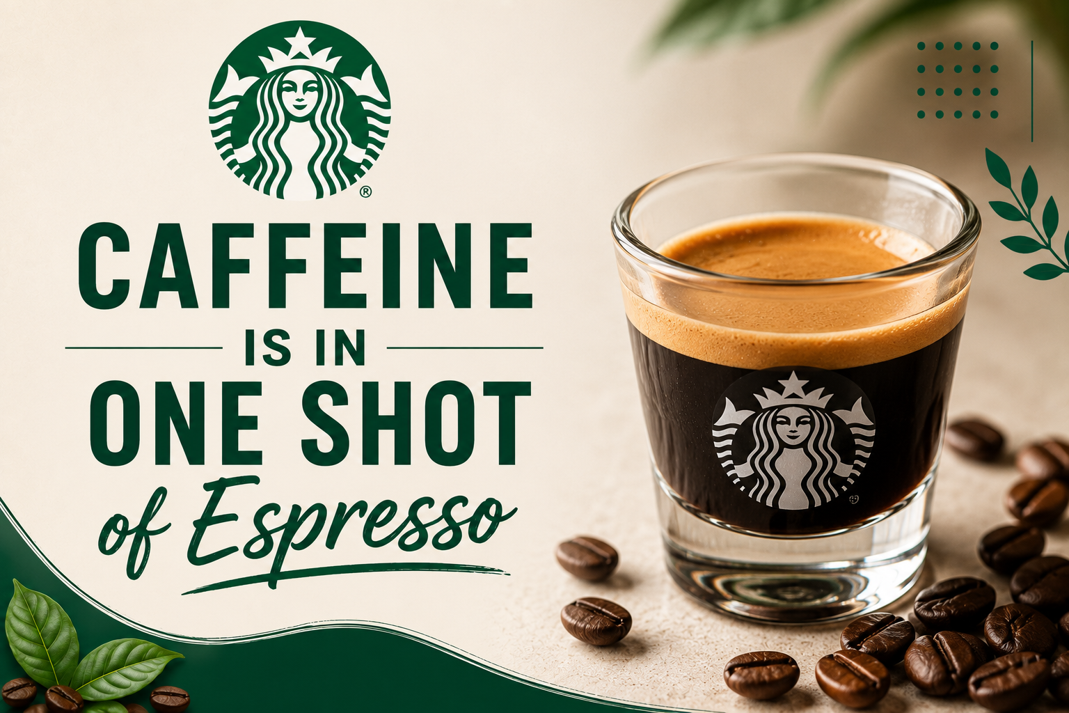 How Much Caffeine Is in One Shot of Espresso at Starbucks? 1 Caffeine Is in One Shot of Espresso